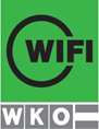 WiFi International Logo